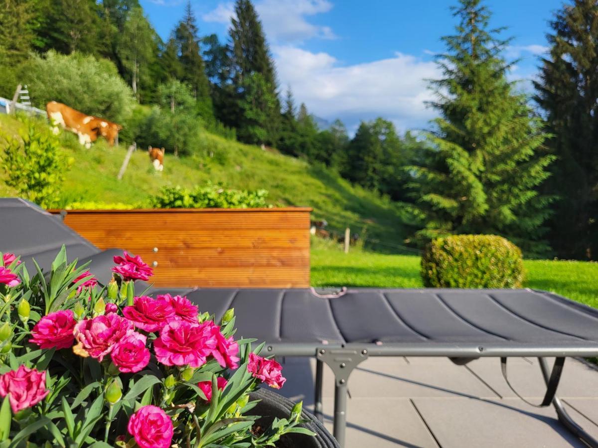 Haus Holzmann Daire Radstadt Dış mekan fotoğraf